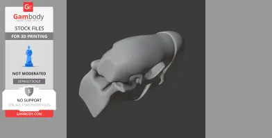 Scarlet Macaw Skull - Skull Replica STL