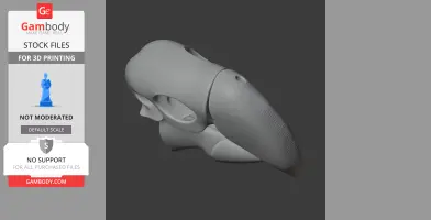 Scarlet Macaw Skull - Skull Replica STL