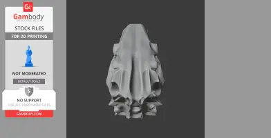 Scelidosaurus Skull - Skull Replica STL