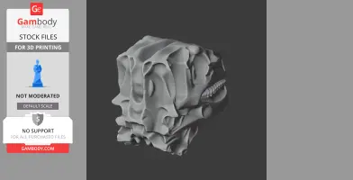 Scelidosaurus Skull - Skull Replica STL