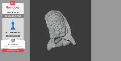 3D Scutellosaurus skull replica with textured, bony surface.