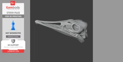 3D model of a detailed Serikornis skull replica, designed for 3D printing from Gambody.