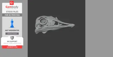3D model of a Serikornis skull, side view, designed for 3D printing.