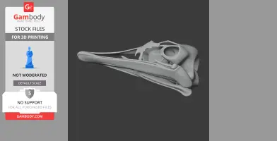 3D model of a Serikornis skull, detailed and sleek, designed for 3D printing.