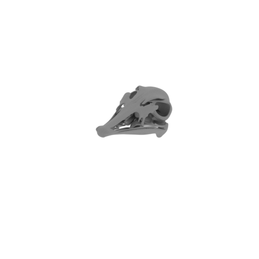 Serikornis Skull.stl