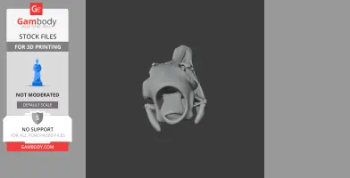 3D model of a Serikornis skull, viewed from the front, showing detailed bone structures.