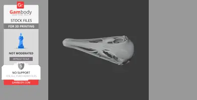 3D rendering of a Serikornis skull replica, showing intricate details for printing.