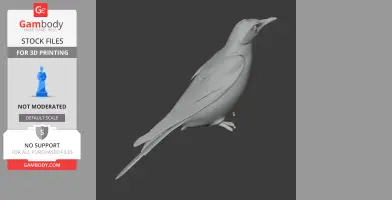 Aztec thrush - Prehistoric Animal STL