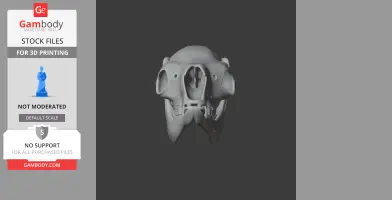 3D model of a Serow skull, showcasing detailed bone structure, intended for 3D printing.