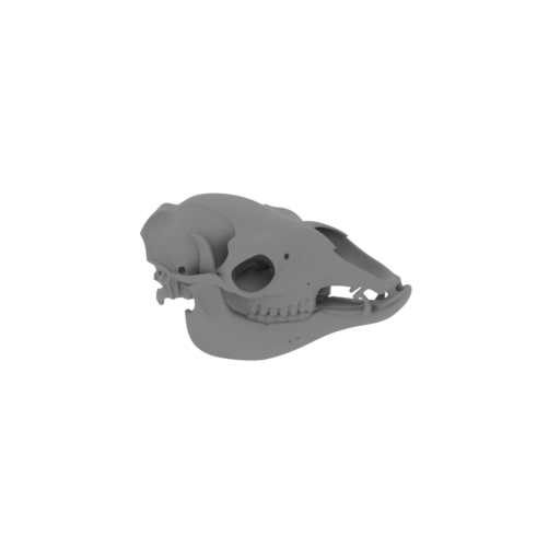 Serow Skull.stl