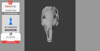 A 3D model of a serow skull, viewed head-on, designed for 3D printing.