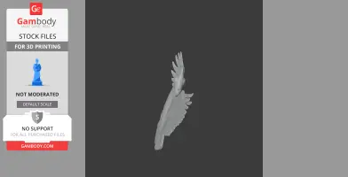 Azure dollarbird - Prehistoric Animal STL