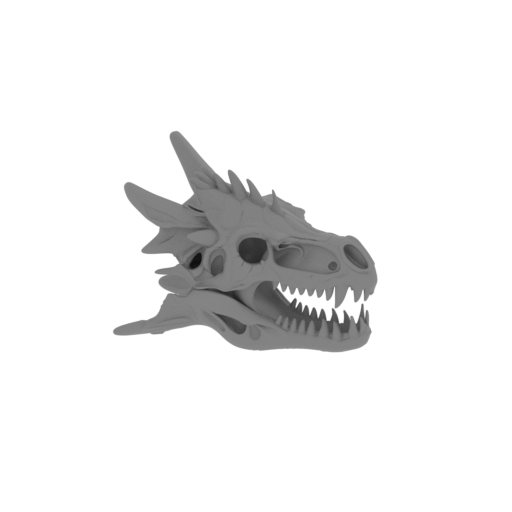 Shamosaurus Skull.stl