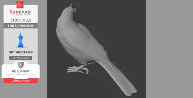 Azure jay - Prehistoric Animal STL