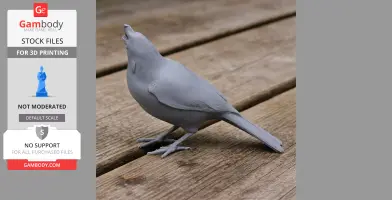 Azure jay - Prehistoric Animal STL