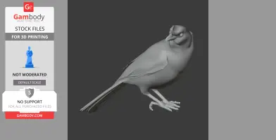 Azure jay - Prehistoric Animal STL