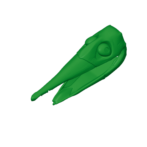 Shonisaurus Skull.3mf