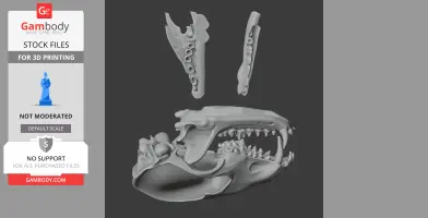 Short-eared Dog Skull - Skull Replica STL