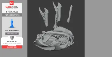 Short-eared Dog Skull - Skull Replica STL