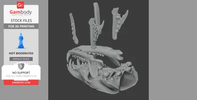 Short-eared Dog Skull - Skull Replica STL