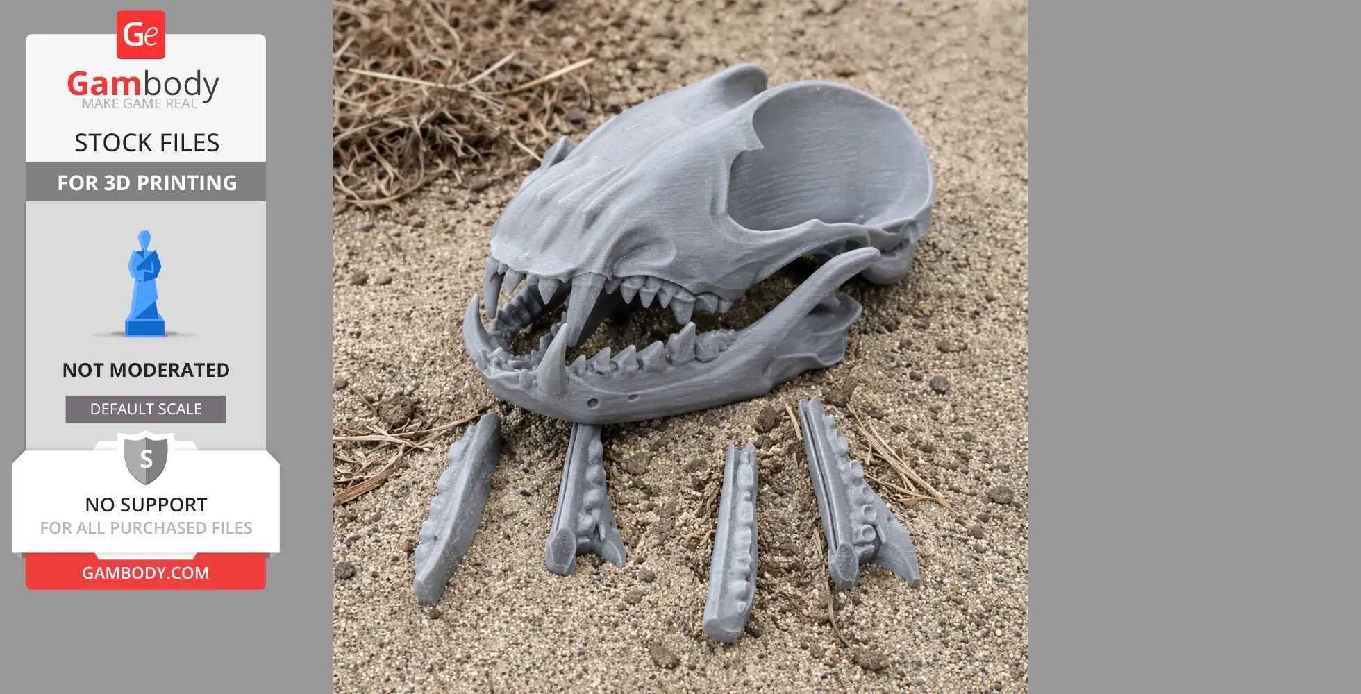 Short-eared Dog Skull - Skull Replica STL