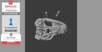 Short-eared Dog Skull - Skull Replica STL