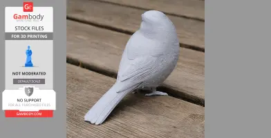 Azure tit - Prehistoric Animal STL