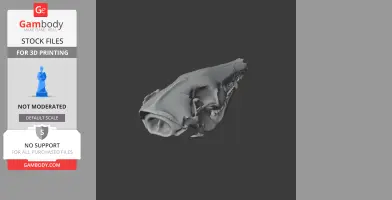 Short-nosed Bandicoot Skull - Skull Replica STL