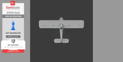 Top view of a 3D model of a vintage biplane, Avia BH-21, ready for 3D printing.