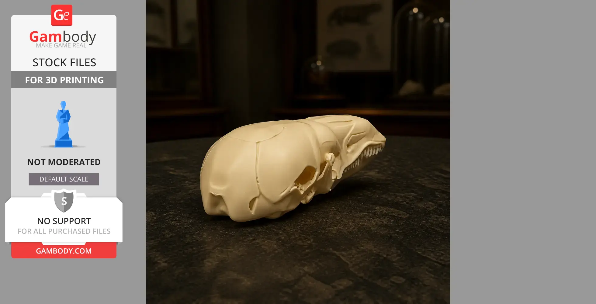 Shrew Mole Skull - Skull Replica STL