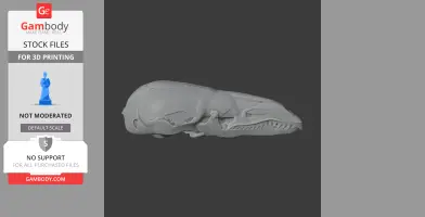 Shrew Mole Skull - Skull Replica STL