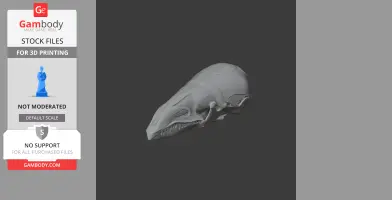 Shrew Mole Skull - Skull Replica STL