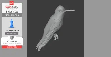 Azure-crowned hummingbird - Prehistoric Animal STL