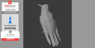 Azure-crowned hummingbird - Prehistoric Animal STL
