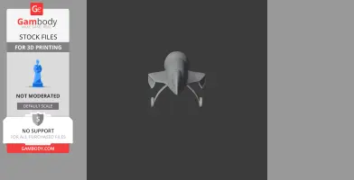 Simplified 3D model of the Aviatika-900 Acrobat plane, viewed from the front, for 3D printing.