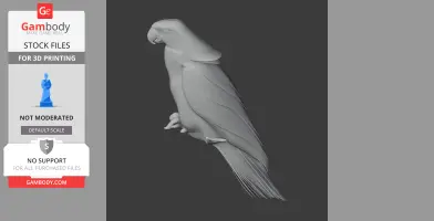 Azure-rumped parrot - Prehistoric Animal STL