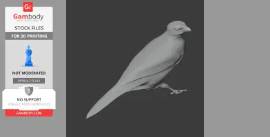 3D model of a bird standing with detailed feathers and long tail, designed for printing.
