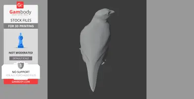 A 3D model of a perched bird, viewed from the back, with a focus on its smooth form and long tail.