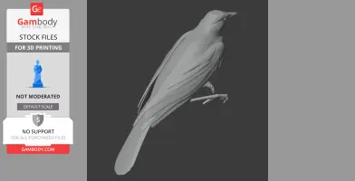 3D model of a prehistoric bird perched, showcasing detailed feathers and slender legs.