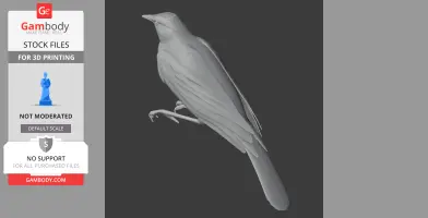 3D model of a prehistoric starling perched, detailed feathers and elongated tail, in gray.