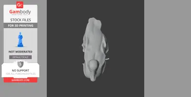 Abstract 3D model resembling a prehistoric animal viewed from above, smooth texture.