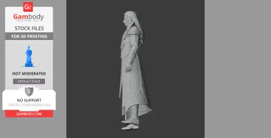 3D model of an elf-like character wearing intricate armor and a long cloak, standing in profile view.