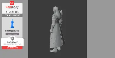 A 3D-printed figurine of a cloaked character in detailed armor, viewed from the side.