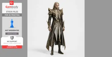 A fantasy character figurine with elaborate armor and long cloak, designed for 3D printing.