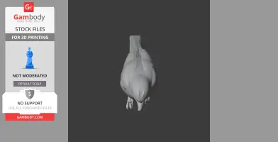 A 3D model of a bird viewed from above, showing intricate feather details for printing.