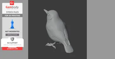 Bahama nuthatch - Prehistoric Animal STL