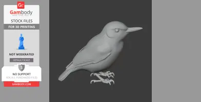 Bahama nuthatch - Prehistoric Animal STL