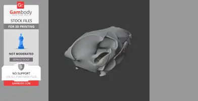 Spotted Hyena Skull - Skull Replica STL