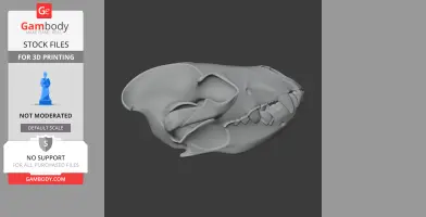 Spotted Hyena Skull - Skull Replica STL