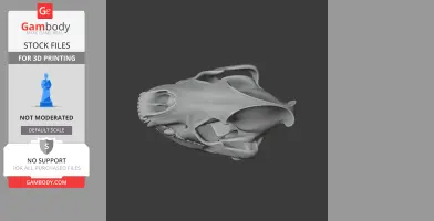 Spotted Hyena Skull - Skull Replica STL